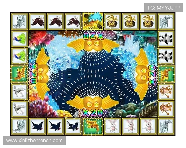 金鲨银鲨飞禽走兽游戏中提现遇到问题怎么办，详细解决方案与客服联系方式