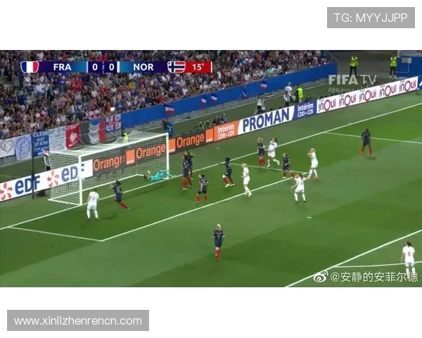 2026年世界杯挪威对阵法国比赛观赛注意事项与现场安全指南